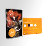 Bjork - Biophilia