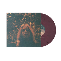 Turnover - Peripheral Vision (10 Year Anniversary Edition)