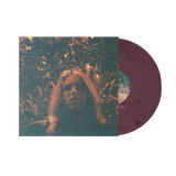 Turnover - Peripheral Vision (10 Year Anniversary Edition)