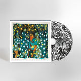 Will Butler & Sister Squares - Will Butler & Sister Squares