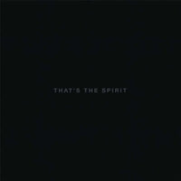 Bring Me The Horizon - That's The Spirit