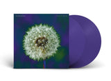 The Bevis Frond - Focus On Nature