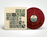 The Staves - Dead & Born & Grown (National Album Day 2022)