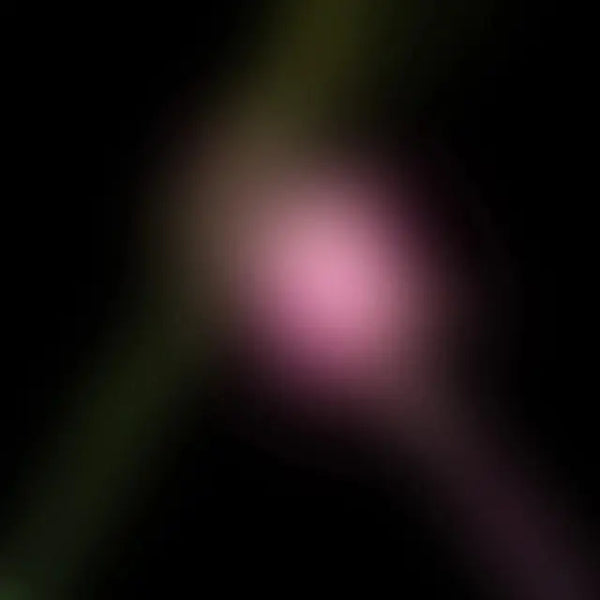 Various Artists - Wicked For Good: The Soundtrack (RSD Black Friday 2025)