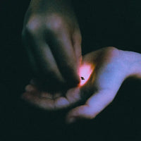 Bambara - Stray