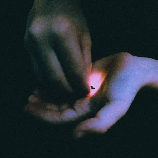 Bambara - Stray