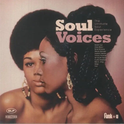 Various Artists - Soul Voices