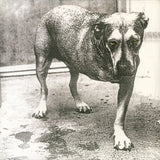 Alice In Chains - Alice In Chains (30th Anniversary)
