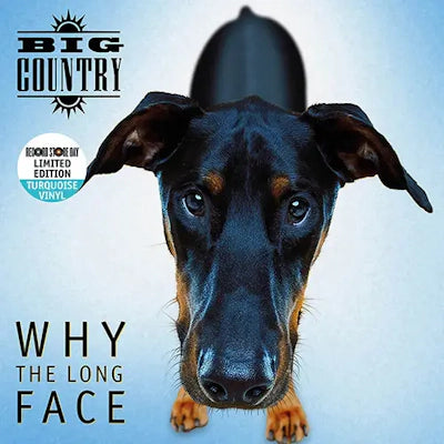 Big Country - Why The Long Face (RSD 2024)