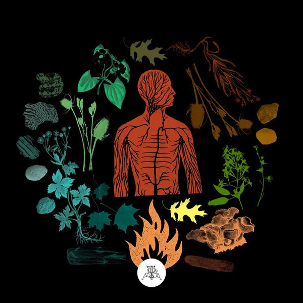 Camp Of Wolves - Bear Creek