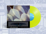Dummy - do you love the color of the sky?