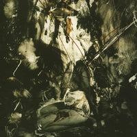 Fields of the Nephilim - Elizium (Expanded Deluxe Edition)