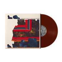 Grizzly Bear - Painted Ruins