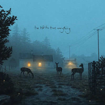 Dermot Kennedy - i've told the trees everything