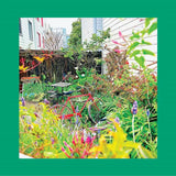 The Reds, Pinks & Purples - Unwishing Well