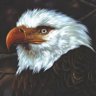 Mogwai - The Hawk Is Howling (15th Anniversary Remaster)