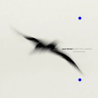 Yann Tiersen - Rathlin From a Distance | The Liquid Hour