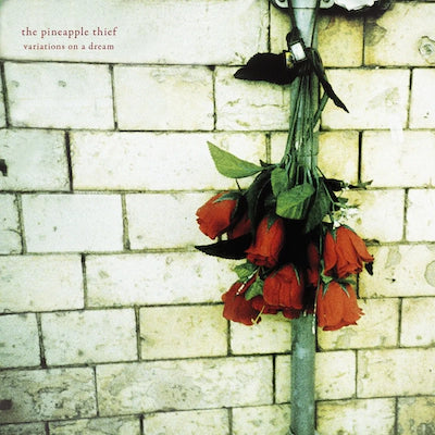 The Pineapple Thief - Variations On A Dream