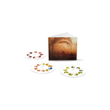 Aphex Twin - Selected Ambient Works Volume II (Expanded Edition)