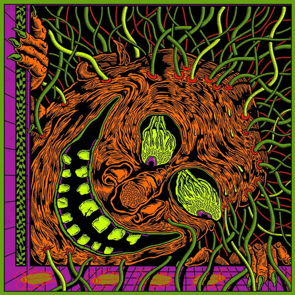 King Gizzard & The Lizard Wizard - King Gizzard: Live in Miami '24