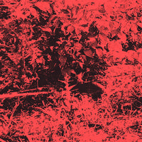 Trhä/Sankaku - Trhä/Sankaku (Split LP)