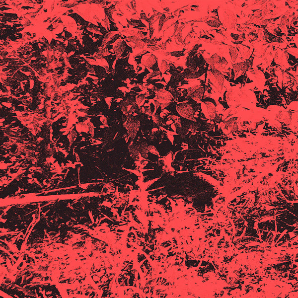 Trhä/Sankaku - Trhä/Sankaku (Split LP)
