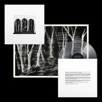These New Puritans - Crooked Wing