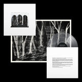 These New Puritans - Crooked Wing