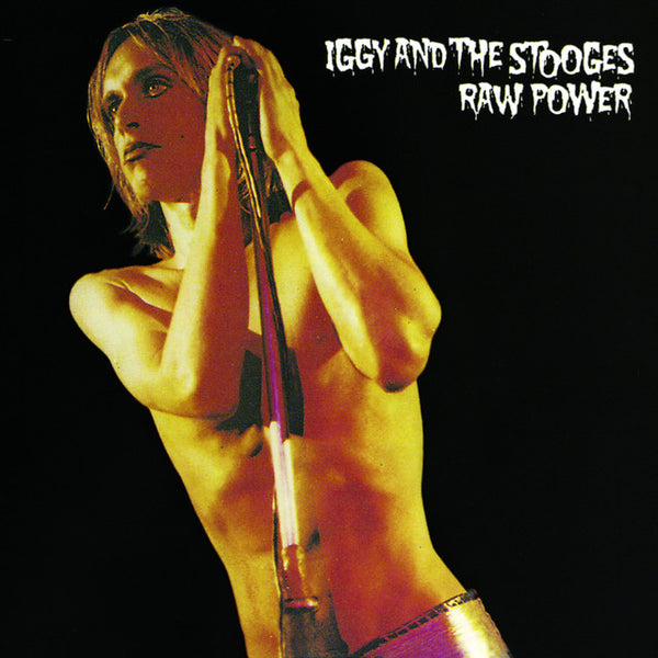 Iggy & The Stooges - Raw Power (National Album Day 2025)