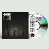 Geese - Projector