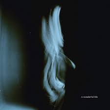 Tom Odell - A Wonderful Life