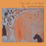 Graham Coxon - The Sky Is Too High