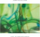 James Ellis Ford - Lost In Another World