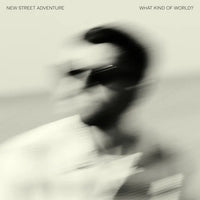 New Street Adventure - What Kind Of World?