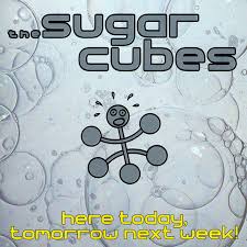 The Sugarcubes - Here Today, Tomorrow, Next Week