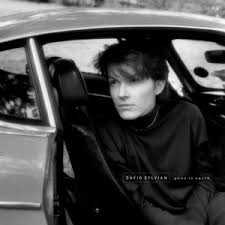 David Sylvian - Gone To Earth (2025 Reissue)