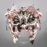 Crystal Lake - The Weight Of Sound