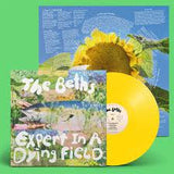 The Beths - Expert In A Dying Field