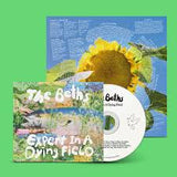 The Beths - Expert In A Dying Field