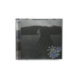 Soccer Mommy - Evergreen