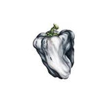 Ween - White Pepper (2026 Reissue)