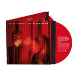 Peter Gabriel - In The Big Room