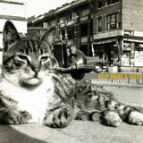Billy Bragg & Wilco - Mermaid Avenue Vol. II