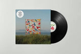 Matthew Halsall - An Ever Changing View