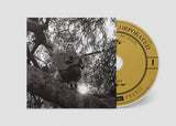 Ty Segall - "Hello, Hi"