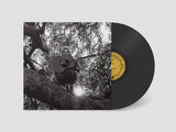 Ty Segall - "Hello, Hi"
