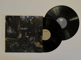 Sarah Davachi - Cantus, Descant