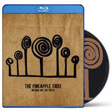 The Pineapple Thief - Nothing But The Truth
