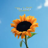 The Snuts - Joy In Short Moments