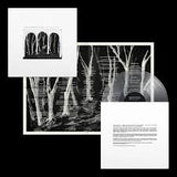These New Puritans - Crooked Wing